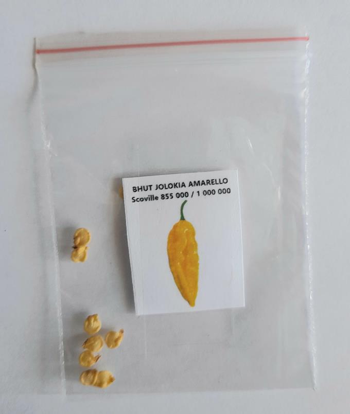 BHUT JOLOKIA AMARELLO Sementes