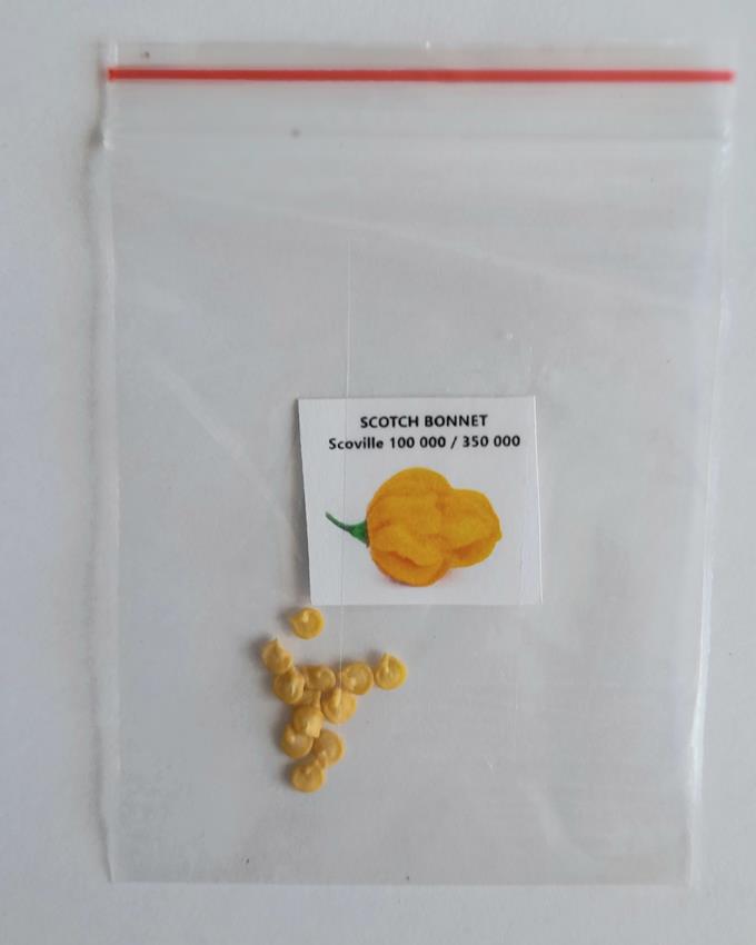 SCOTCH BONNET Sementes