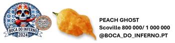 PEACH GHOST