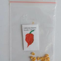CAROLINA REAPER sementes