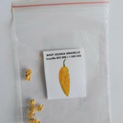 BHUT JOLOKIA AMARELLO Sementes