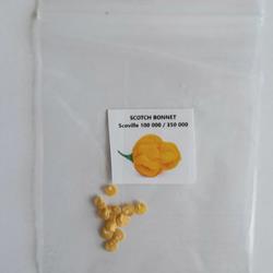 SCOTCH BONNET Sementes