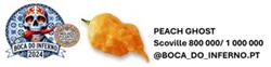 PEACH GHOST