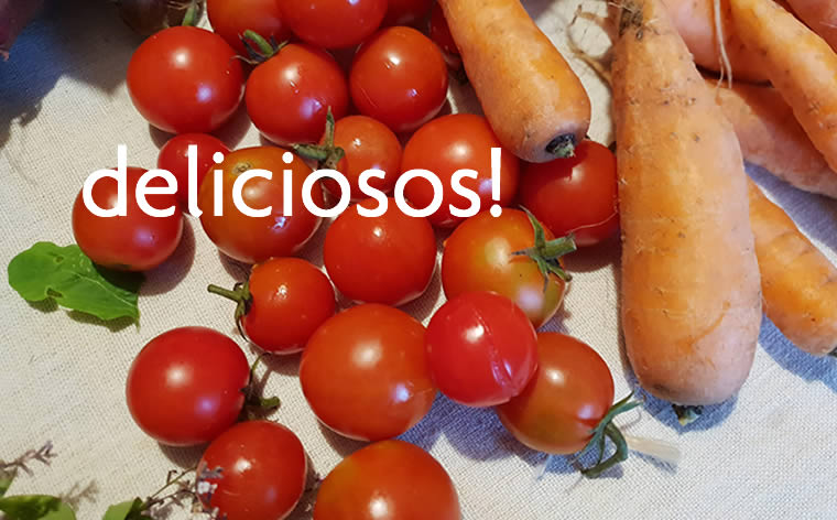Os tomates Cherry, do Cabaz da Costa da Marinha: são deliciosos