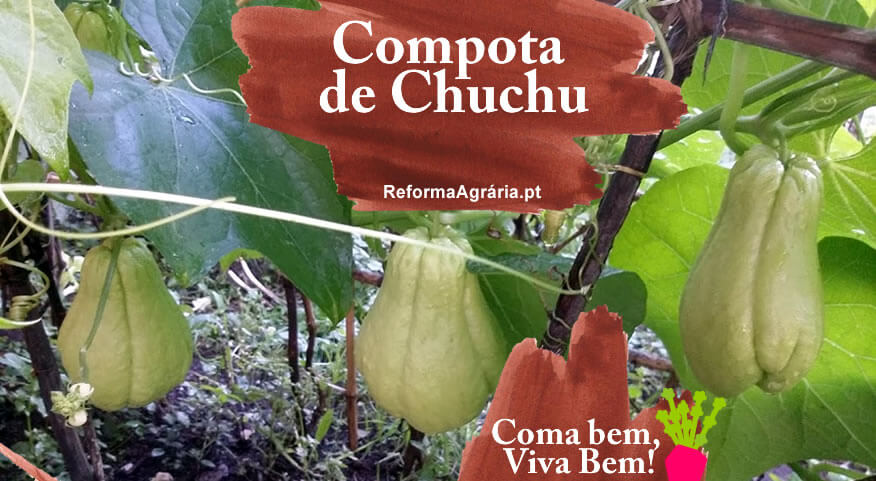 Receita de Doce de Chuchu| Reforma Agrária