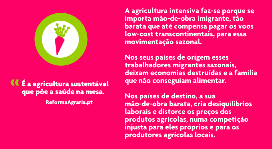 É a agricultura intensiva que vos põe comida na mesa,artigo de opinião no jornal Observador| A Opinião da Reforma Agrária