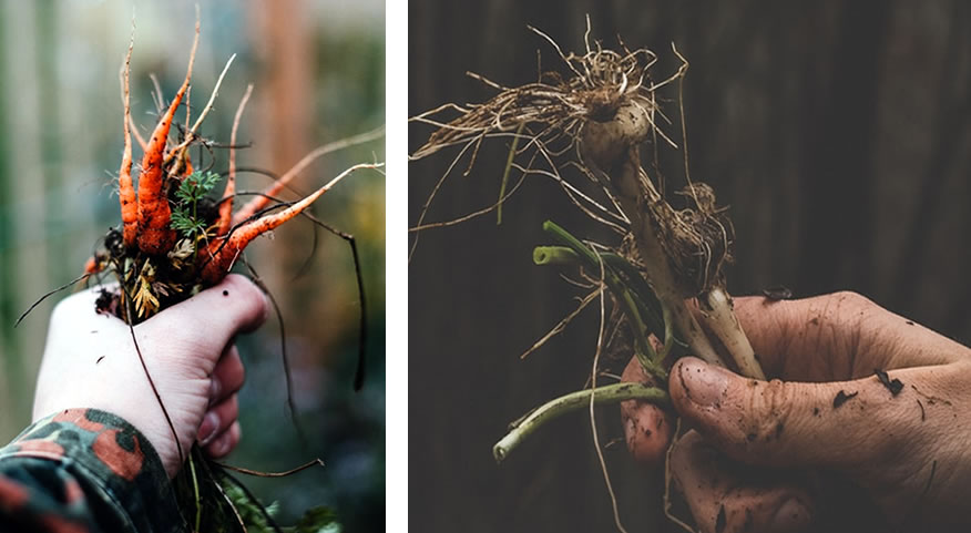 Falta de ânimo para as atividades do dia-a-dia| Reforma Agrária