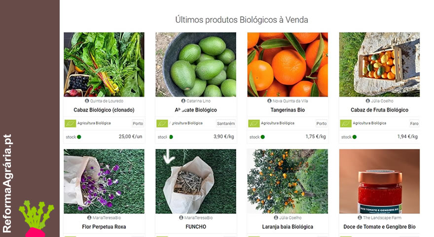 Onde comprar produtos hortícolas e fruta, frescos e sustentáveis?| Reforma Agrária