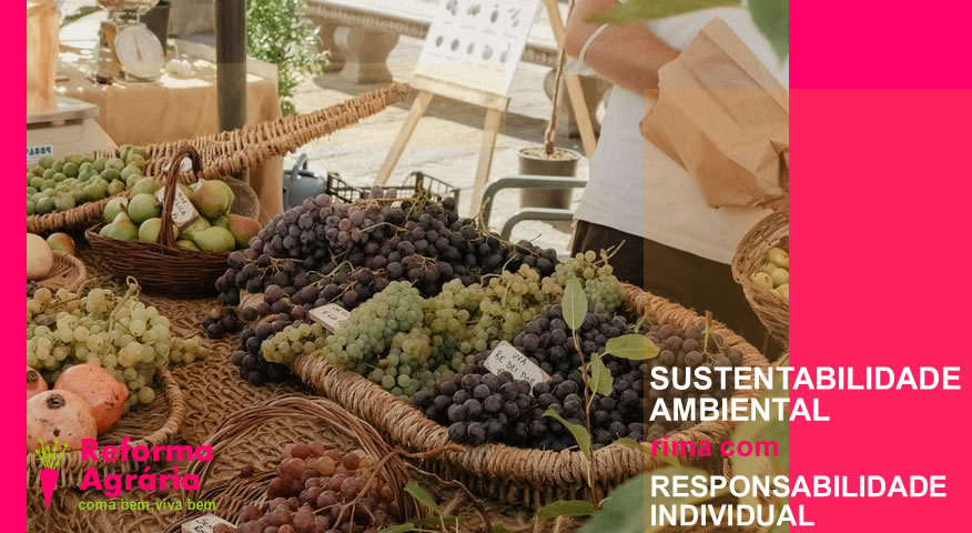 Sustentabilidade Ambiental Rima com Responsabilidade Individual| Reforma Agrária
