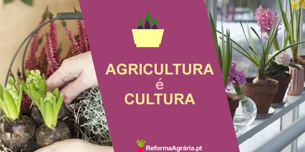 Agricultura também é Cultura| Reforma Agrária