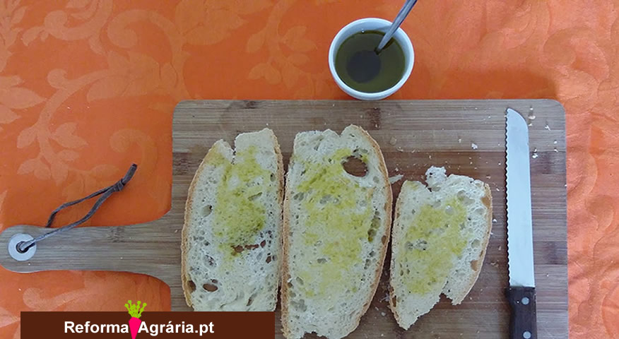 Sabia que pode barrar com azeite, o pão e as torradas? | Reforma Agrária