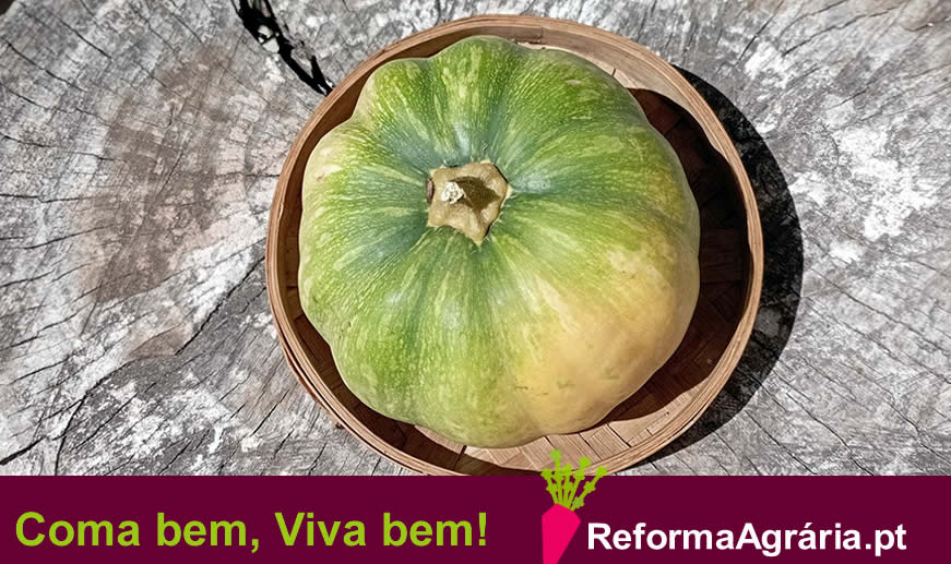 Uma abóbora que é uma aboborazinha | Reforma Agrária