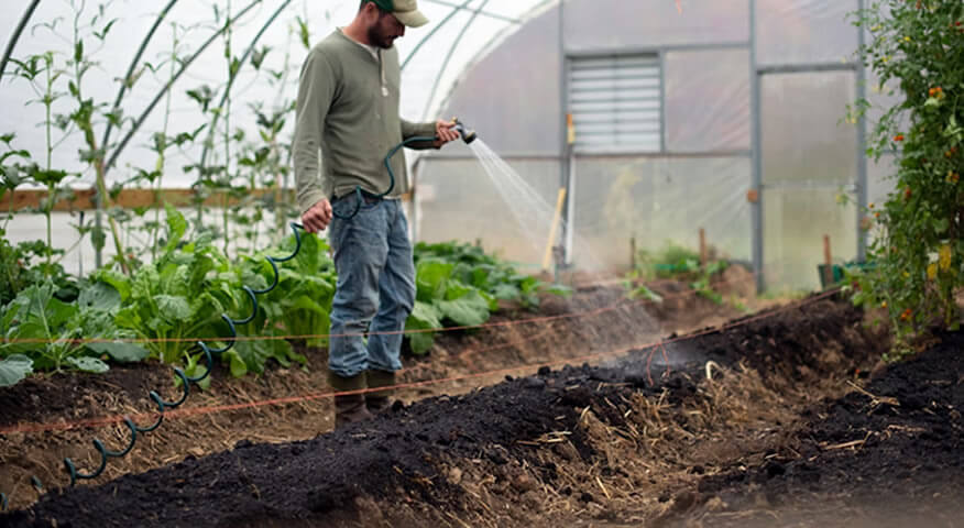 Sessões de esclarecimento sobre medidas PEPAC - Algarve