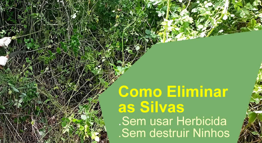 Como Eliminar as Silvas de vez sem usar Herbicida  | ReformaAgraria.pt