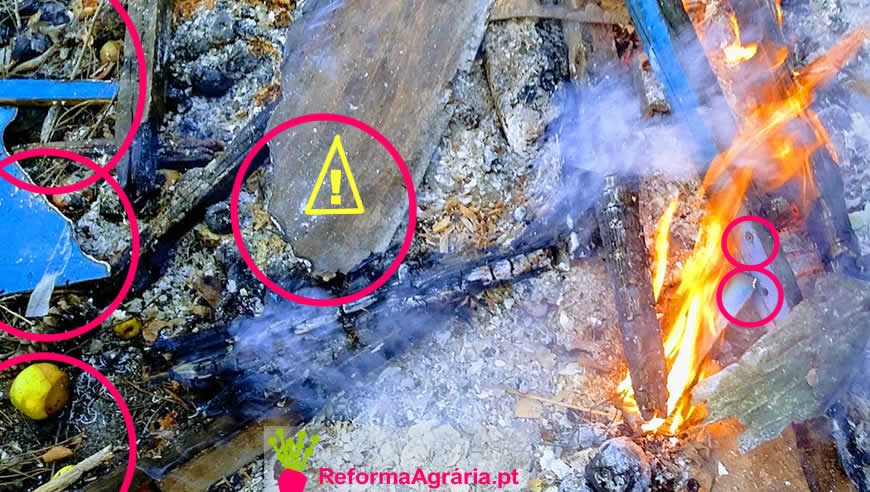 Como queimadas tradicionais contaminam o solo? 