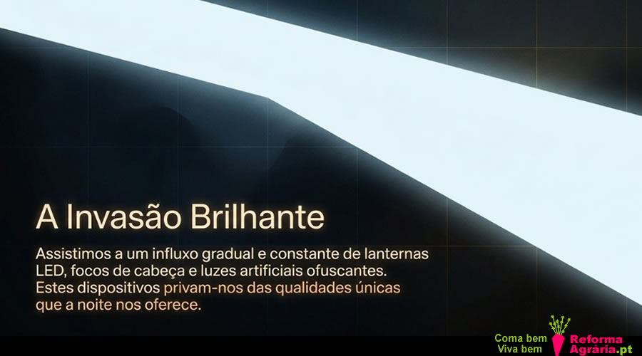 A Magia da Luz Natural | Reforma Agrária
