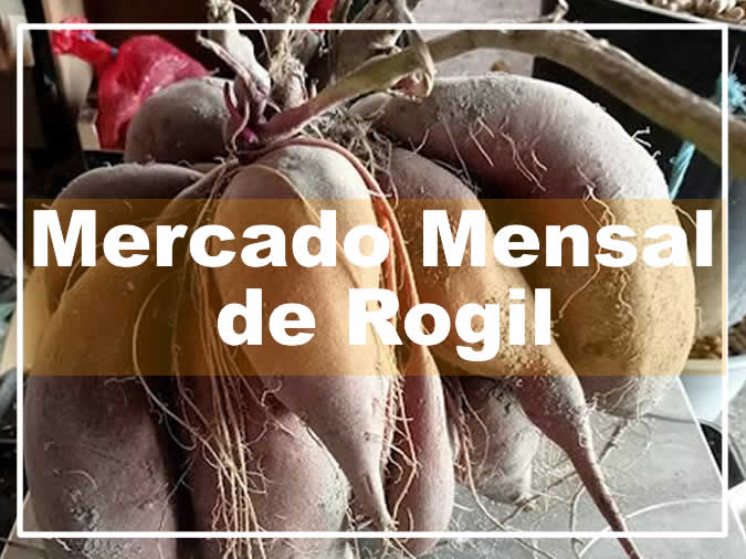 Mercado Mensal de Rogil