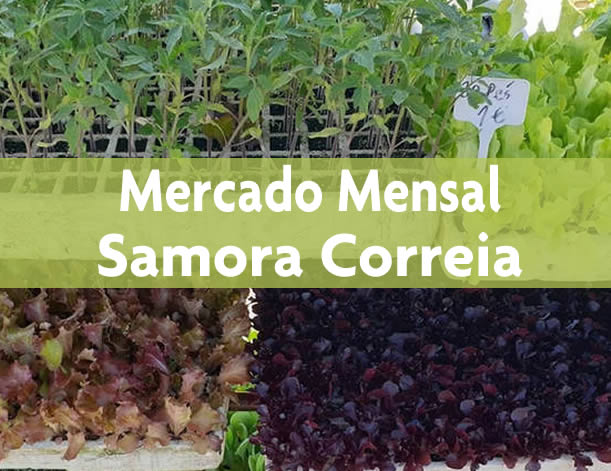 Mercado Mensal de Samora Correia