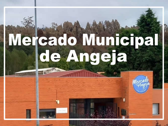 Mercado Municipal de Angeja