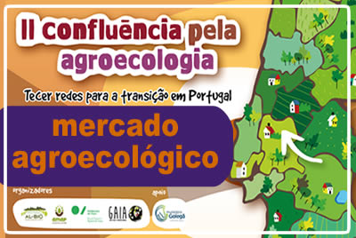 Mercado Agroecológico, na Golegã