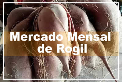 Mercado Mensal de Rogil