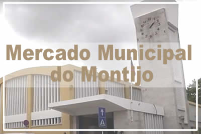 Mercado Municipal do Montijo