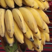 Bananas Outros