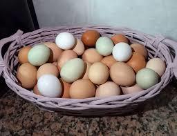 Levantar no Produtor