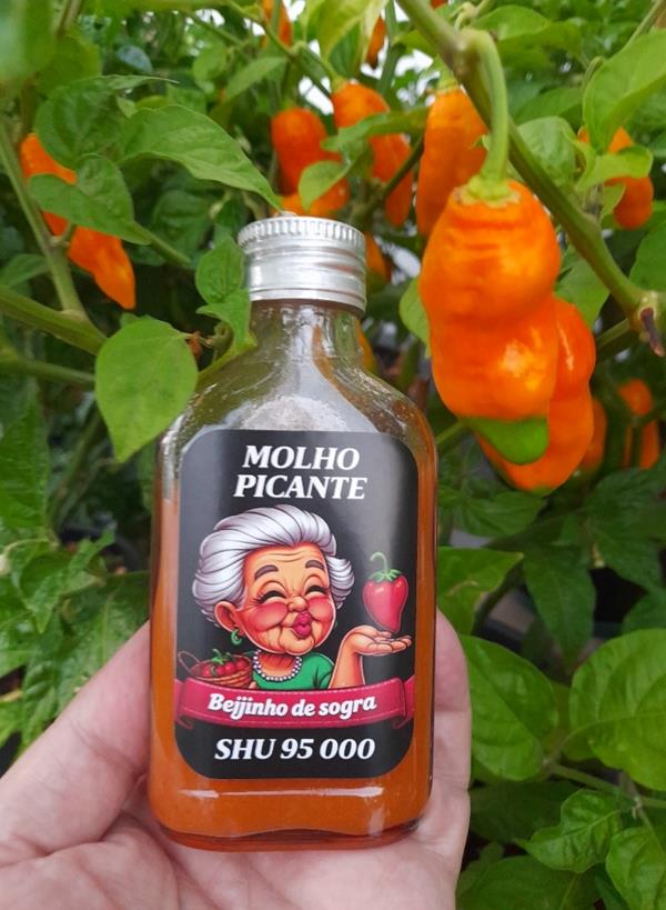 BEIJINHO DE SOGRA - Molho Picante
