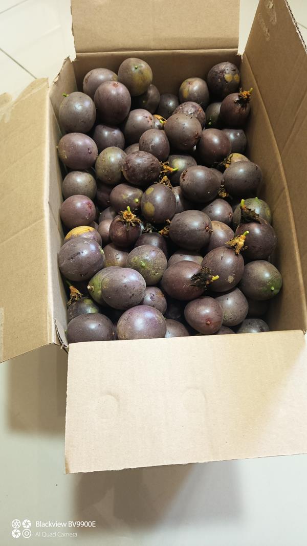 Maracuja