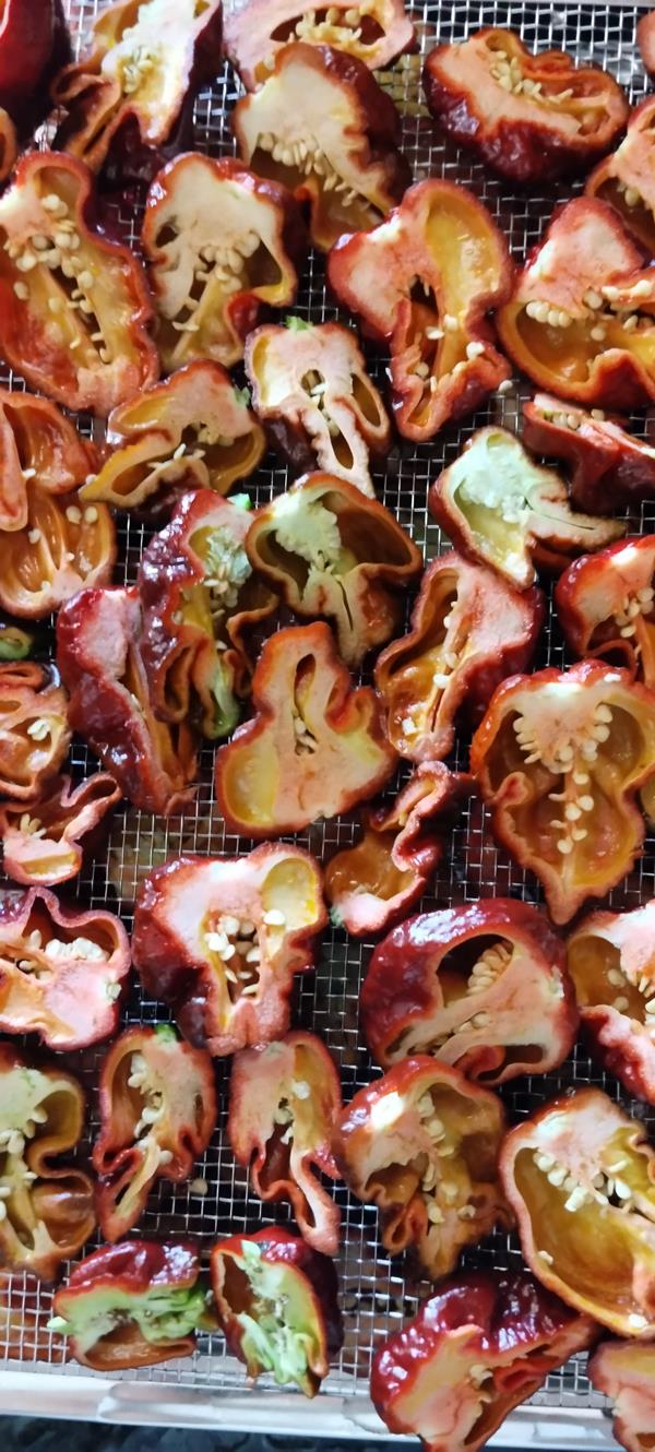 Carolina Reaper Desidratada