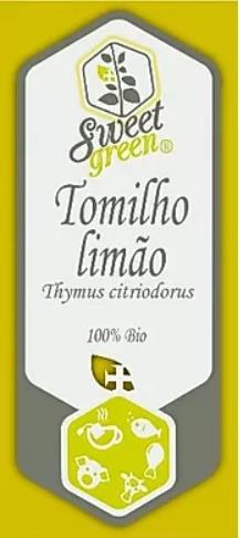 Tomilho limão - Thymus citriodorus