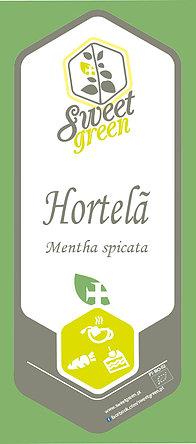 Hortelã - mentha spicata, emb.10g