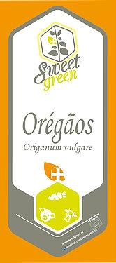 Oregãos - origanum vulgare
