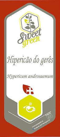 Hipericão do Gerês - hypericum androsaemum, emb.10g