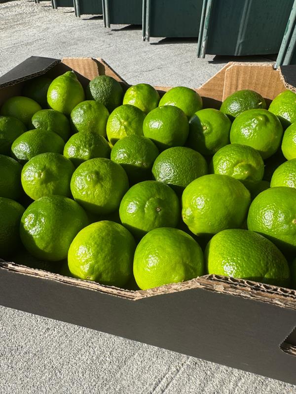 Limas Tahiti