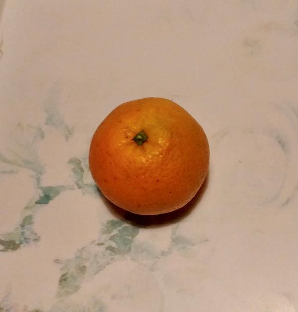 Laranja Navel - biológica