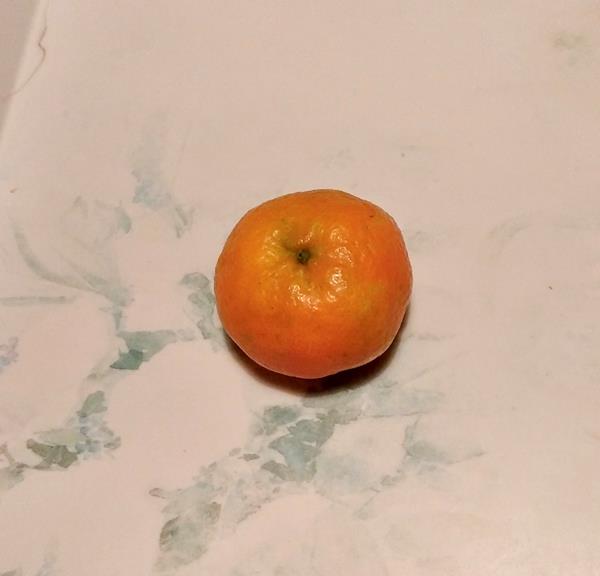 Tangerina clementina - biológica