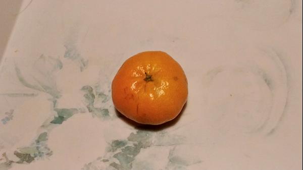 Tangerina Setubalense - biológica