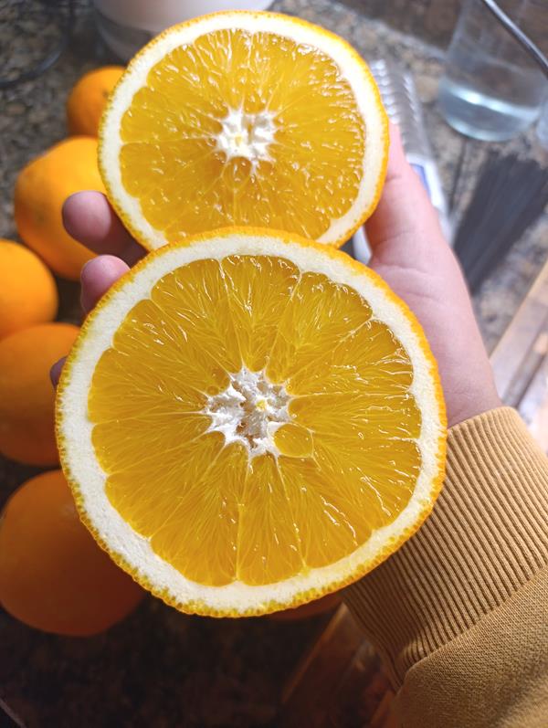 Laranjas e Tangerinas Doces – Faro (€4/5kg • €3/2kg)
