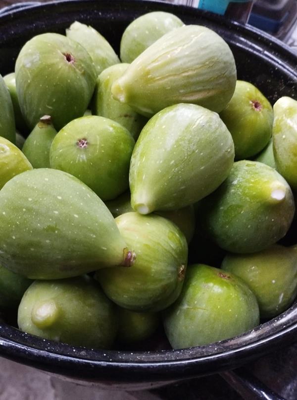 Figos frescos biológicos