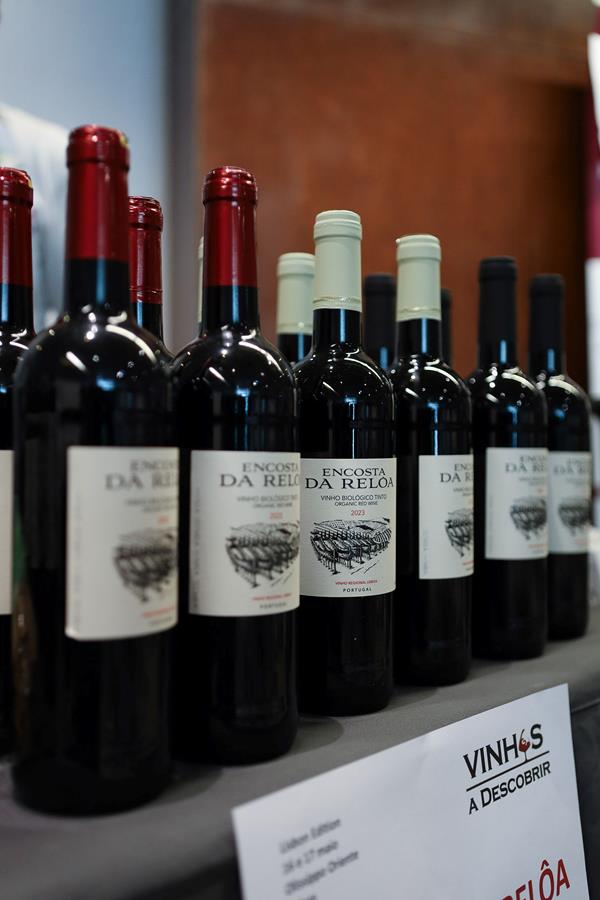 Vinho Biológico Tinto 2023