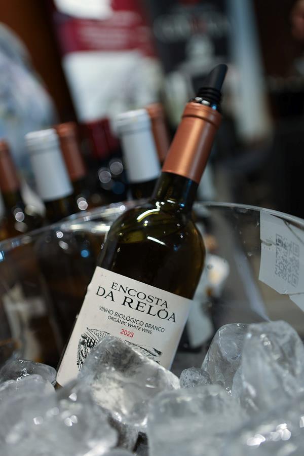 Vinho Biológico Branco 2023