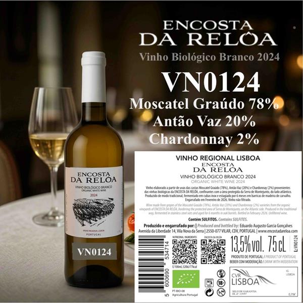 Vinho Biológico Branco 2024