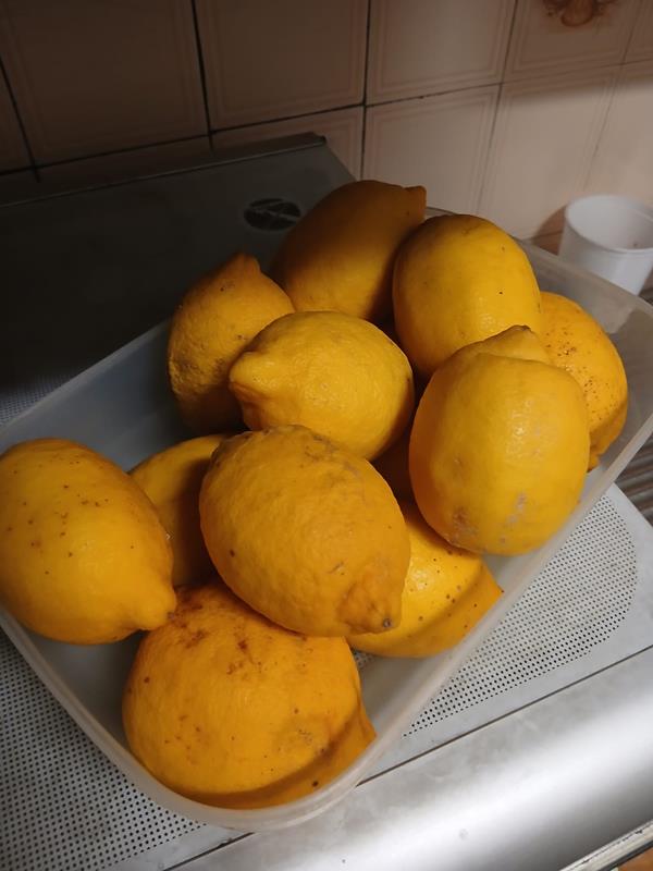 Limão