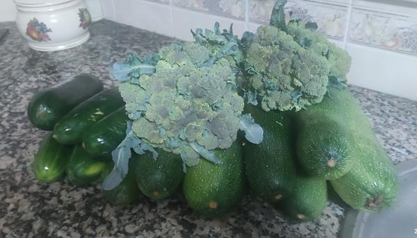 Brócolos