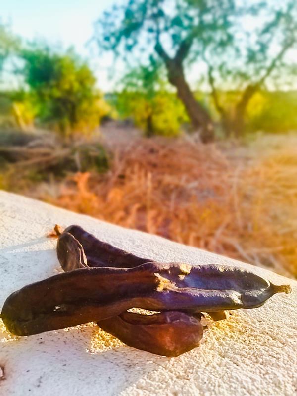 Farinha de Alfarroba
