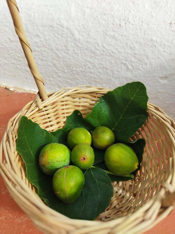 Figos Frescos