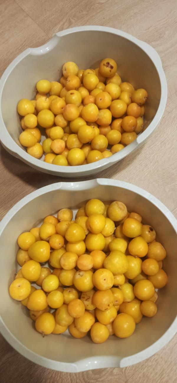 Ameixas amarelas