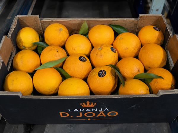 Laranja D. João